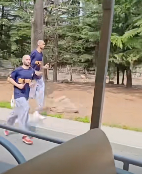 mk体育官方网站入口NBA官网报道文班闭关修炼:文班亚马在中国 并非全是为了度假